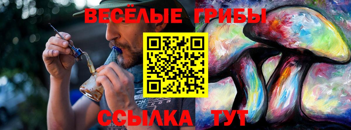 Псилоцибиновые грибы Psilocybine cubensis Сарапул